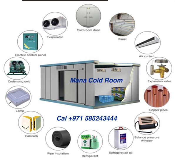 Customized Blast cold room Freezer