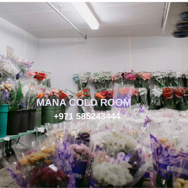 flower_cold_room_supplier