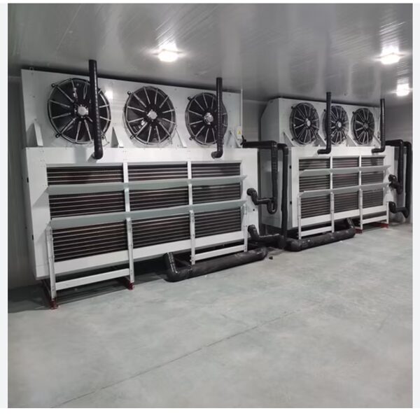 Blast Freezer Cold Room