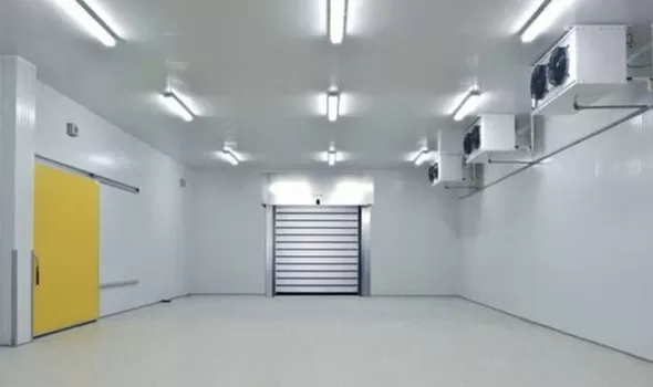 freezer cold room