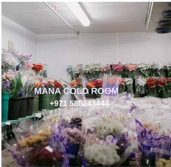 flower_cold_room_supplier_dubai