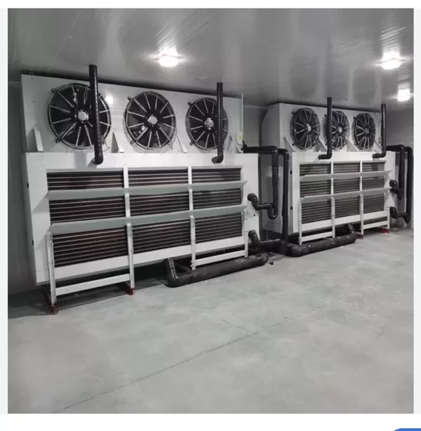 Blast Freezer Cold Room