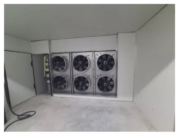 customized blast freezer