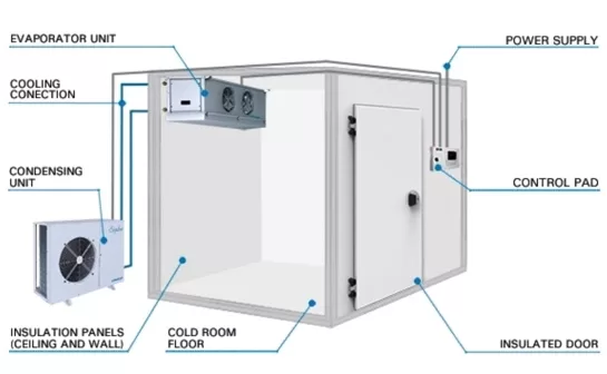 Cold storage provides a controlled environment with precise temperature and humidity level