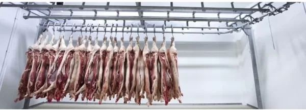 Extended shelf life: By slowing down the natural deterioration process, cold storage exten